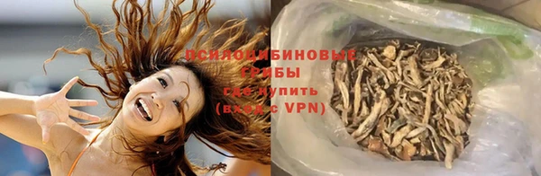 эйфоретик Нея