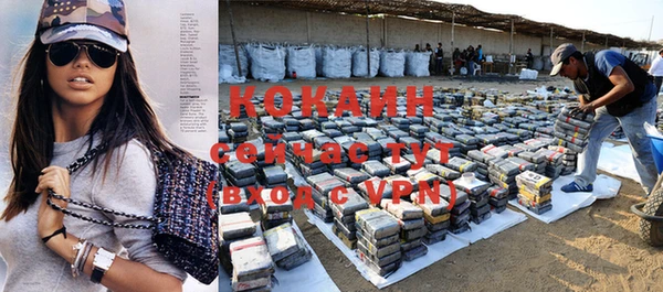 прущие крисы Нефтекумск