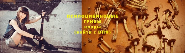 прущие крисы Нефтекумск