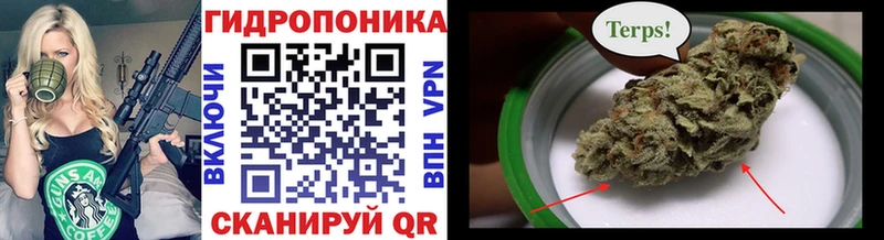 Купить где  Чкаловск  Конопля план 